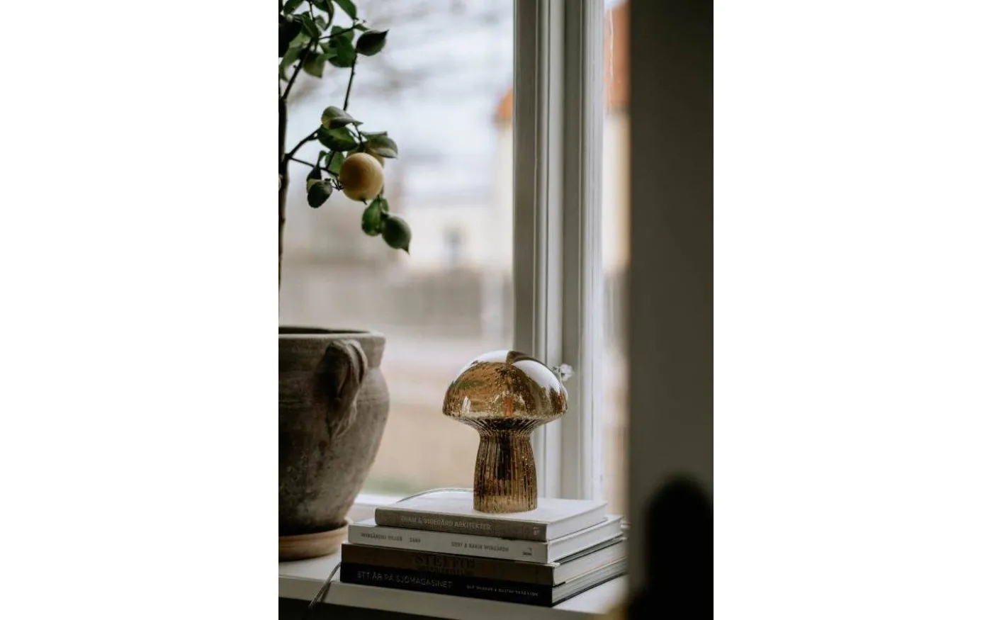 Fungo Bordslampa 20cm Special Edition Brun