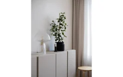 Fungo Bordslampa 30cm Special Edition Klar