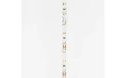 LEDstrip 12V 5m 4000K 12w/m IP20