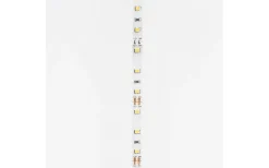 LEDstrip 12V 5m 3000K 12w/m IP20