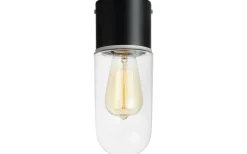 Zen Taklampa Badrum IP44 Svart/Klar